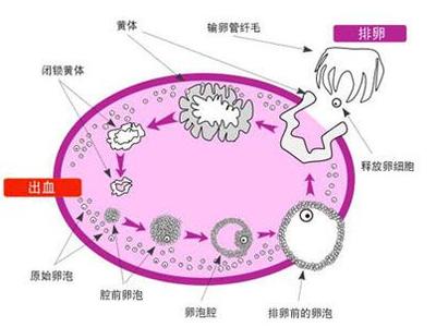 苏州不孕不育医院